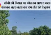 लीची की मिठास पर मौत का साया! जाल में फंसकर तड़प-तड़प कर दम तोड़ रहे बेजुबान पक्षी