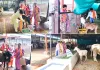 हिन्दू स्वाभिमान सप्ताह के समापन पर हुआ गौसेवा कार्यक्रम