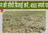 Paddy Seeding: धान की सीधी बिजाई करने वाले किसानों को मिलेगा 4500 रुपये प्रति एकड़ अनुदान