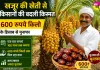 Date Palm Farming: धर्मपुरी के किसानों ने रचा नया कृषि मॉडल, 100 साल तक फल देने वाली इस फल की खेती की शुरू