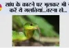 Snake Bite First Aid: सांप काटने पर मरीज को क्या दें और क्या न दें, जानिए पूरी जानकारी