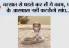 Snake Free Home: बरसात से पहले कर लें ये काम, घर के आसपास नहीं फटकेंगे सांप...