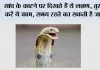 Snake News: सांप के काटने पर दिखते हैं ये लक्षण, तुरंत करें ये काम, समय रहते बच सकती है जान