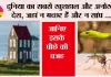 World Happiness Report: दुनिया का सबसे खुशहाल और अनोखा देश, जहां न मच्छर हैं और न सांप, जानिए इसके पीछे की वजह