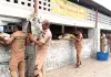 बरनाला में सुरेन्द्र कुमार इन्सां ने अपने जन्मदिन पर गायों को खिलाया 15 क्विंटल हरा चारा