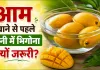 Mango Health Tips: क्या है आम खाने का सही तरीका? खाने से पहले पानी में भिगोना क्यों जरूरी?