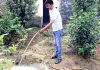 पीने के पानी से सींचे जा रहे थे बाग, जन स्वास्थ्य विभाग की छापेमारी में खुलासा