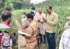 पेड़ पर लटका मिला सड़ागला शव, फैली सनसनी, नहीं हुई शिनाख्त