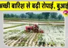 Agricultural News: मानसून की बढ़ती रफ्तार से किसानों के चेहरे खिले, रोपाई-बुआई ने भी पकड़ी रफ्तार