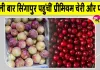 Horticulture News: अब किसानों की बढ़ेगी आय, शोपियां-पुलवामा से पहली बार सिंगापुर पहुंचीं प्रीमियम चेरी और प्लम 