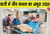 डबवाली डेरा अनुयायियों की जीवों के प्रति प्रेरणादायक मानवता