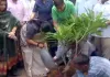 CM Rekha Gupta: मुख्यमंत्री रेखा गुप्ता ने मॉडल टाउन में किया पौधरोपण, दिल्ली में 70 लाख पौधे लगाने का लक्ष्य