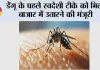 Dengue: डेंगू के पहले स्वदेशी टीके को मिली बाजार में उतारने की मंजूरी