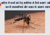 बारिश में बच्चों को डेंगू-मलेरिया से कैसे बचाएं? जानिए जरूरी सावधानियां और बचाव के आसान उपाय