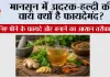 मानसून में अदरक-हल्दी की चाय क्यों है फायदेमंद? जानिए पीने के फायदे और बनाने का आसान तरीका