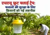 Agricultural News: एचएयू का फ्रूट फ्लाई ट्रैप: फल व सब्जियों को कीटों से बचाने की असरदार तकनीक