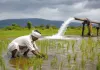 Agriculture News: अल नीनो की संभावना को देखते हुए किसानों से वैज्ञानिक खेती अपनाने की अपील
