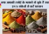 Kitchen Spices: क्या आपकी रसोई के मसाले हो चुके हैं खराब? इन 5 संकेतों से करें पहचान, वरना बढ़ सकता है फूड पॉइजनिंग का खतरा