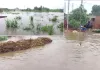 Rain News: 24 घंटे की लगातार बारिश से संभलहेड़ा में बाढ़ जैसे हालात, घरों में घुसा पानी, लाखों की फसल बर्बाद