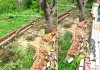 आकाशीय बिजली और लगातार बारिश से भगवंत आयुर्वेदिक कॉलेज-अस्पताल को भारी नुकसान, दो दिन से बिजली ठप
