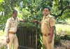 मीरापुर क्षेत्र में तेंदुए की दस्तक से ग्रामीणों में दहशत, खेड़ी सराय में लगाया गया पिंजरा