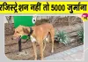 Pet Dog-Cat Registration: ख़बरदार! कुत्तों-बिल्लियों का रजिस्ट्रेशन नहीं कराया तो लगेगा 5 हजार जुर्माना