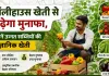 Agricultural News: पॉलीहाउस खेती से बढ़ाएं मुनाफा जानें शिमला मिर्च, चेरी टमाटर और बिना बीज वाले खीरे की उन्नत खेती