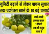 Pomelo Benefits: जितना बड़ा फल, उतने बड़े फायदे,  खट्टे फलों का बादशाह चकोतरा