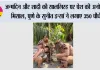 जन्मदिन और शादी की सालगिरह पर पेश की अनोखी मिसाल, पुणे के सुनीत इन्सां ने लगाए 350 पौधे