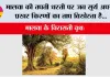 मालवा की तपती धरती पर जब सूर्य अपनी प्रखर किरणों का ताप बिखेरता है...