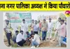 Bulandshahr News: नगर पालिका अध्यक्ष ने सदस्यों के साथ किया पौधारोपण