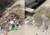 रूपनगर में गंदगी का अंबार, गलियां बनीं कचरे का ठिकाना 