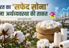 White Gold News: भारत का 'सफेद सोना' बना अर्थव्यवस्था की ताकत, ग्लोबल फाइबर उत्पादन में करीब 19% रही हिस्सेदारी 