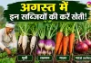 Vegetable farming: अगस्त में इन सब्जियों की करें खेती! जानें बुआई का सही समय व ऐसे करें खेत तैयार
