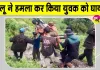 Bear Attack: बगीचे में पहुंचा अचानक भालू, युवक की चीख-पुकार सुन मौके पर पहुंचे ग्रामीण