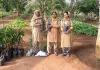 Tree Plantation: पावन अवतार दिवस पर बेंगलुरु और मैसूर की साध-संगत ने किया पौधारोपण