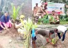 Tree Plantation: पावन अवतार दिवस पर मध्यप्रदेश में छाई हरियाली, साध-संगत ने श्योपुर से बैतूल तक किया पौधारोपण