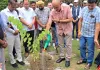 ‘एक पेड़ माँ के नाम’ विषय पर हिंदू गर्ल्स कॉलेज, जगाधरी में पौधारोपण अभियान आयोजित