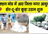 सरसा की सफाई व्यवस्था फिर पटरी पर लौटेगी! डोर-टू-डोर कूड़ा उठान शुरू