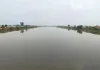 Ghaggar News: घग्घर में फिर आया पानी, धान उत्पादक किसानों के चेहरे खिले 