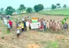 संत डॉ. गुरमीत राम रहीम के अवतार दिवस पर डेरा अनुयाइयों ने किया पौधारोपण