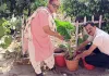 शरीरदानी प्रेमी हरबंस लाल खनेजा की पुण्यतिथि पर पौधारोपण कर दी श्रद्धांजलि