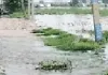 Markanda River: मारकंडा नदी का जलस्तर बढ़ने से गांव कठवा में घुसा पानी 
