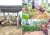 Tree Plantation: डेरा सच्चा सौदा मेरठ जिले की साध संगत द्वारा व्यापक पौधारोपण अभियान
