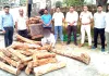 वन विभाग एवं वन्य प्राणी विभाग, कलेसर की बड़ी कार्रवाई