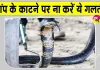 Snake News: मानसून में सांप के काटने का खतरा ज्यादा, सांप के काटने पर पहला 1 घंटा अहम