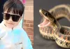 Snake Bites: घर के बाहर खेल रहे 4 साल के मासूम को कोबरा ने डंसा, मौत से परिवार में मचा कोहराम