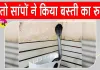 Snake News: कंकरीट साम्राज्य में सांपों को आसरा नहीं मिला तो किया बस्ती का रुख
