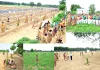 Tree Planting Campaign: पूज्य गुरु संत डॉ. एमएसजी के अवतार दिवस पर धरती को हरियाली का तोहफा