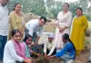 Van Mahotsav: सावित्रीबाई फुले कन्या कॉलेज में पेड़ लगाकर मनाया वन महोत्सव
